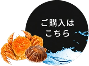 ご購入はこちら